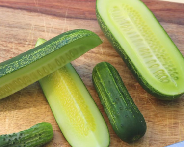 Eureka Hybrid Cucumber Seeds